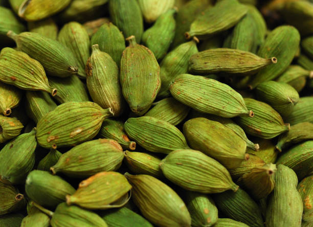 Green cardamom pods